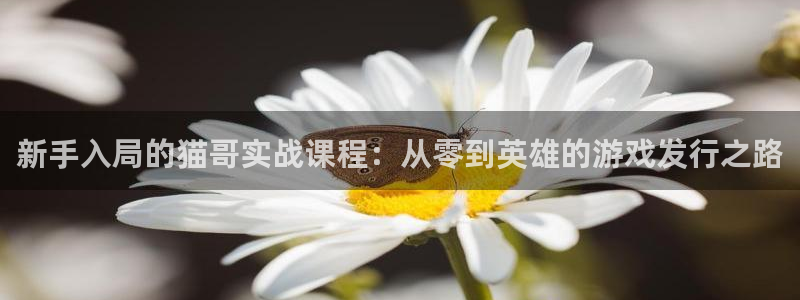 im电竞官网的奇趣腾讯是真的吗还是假的：新手入局的猫哥实战课程：从零到英雄的游戏发行之路