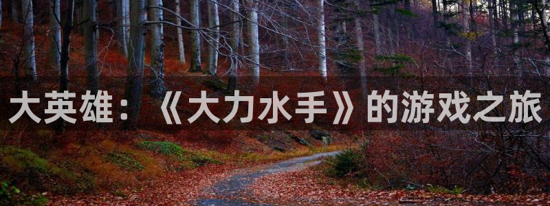 im电竞官网招商主管：大英雄：《大力水手》的游戏之旅