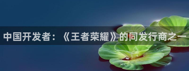 im电竞lvnces官网