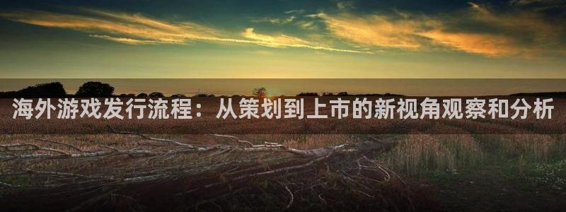 im电竞官网的钱能提出来吗：海外游戏发行流程：从策划到上市的新视角观察和分析