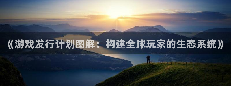 im电竞子代表什么意思：《游戏发行计划图解：构建全球玩家的生态系统》