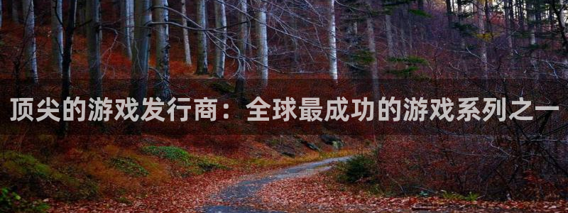 陕西im电竞子文化创意有限公司是做什么的：顶尖的游戏发行商：全球最成功的游戏系列之一