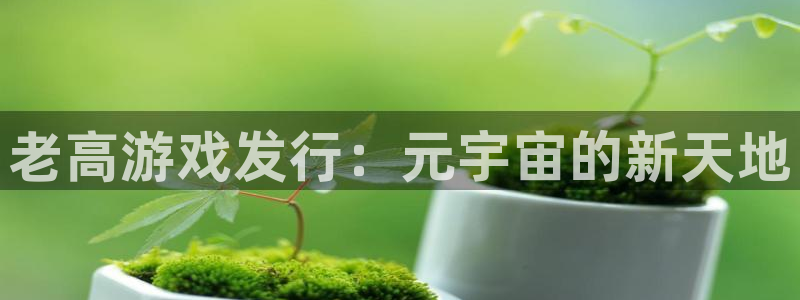 im电竞官网官网注册账号：老高游戏发行：元宇宙的新天地