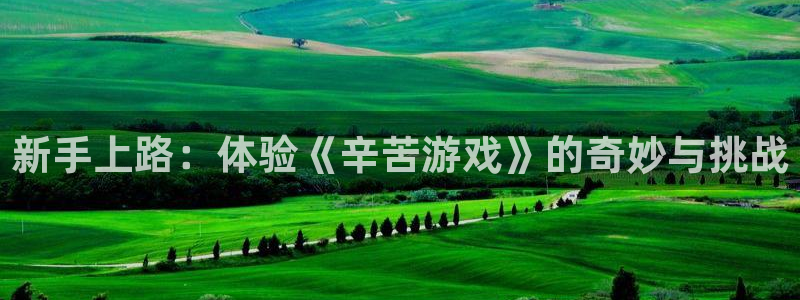 im电竞香烟图片：新手上路：体验《辛苦游戏》的奇妙与挑战