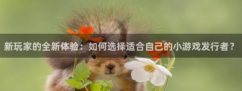 im电竞官网游戏平台介绍：新玩家的全新体验：如何选择适合自己的小游戏发行者？