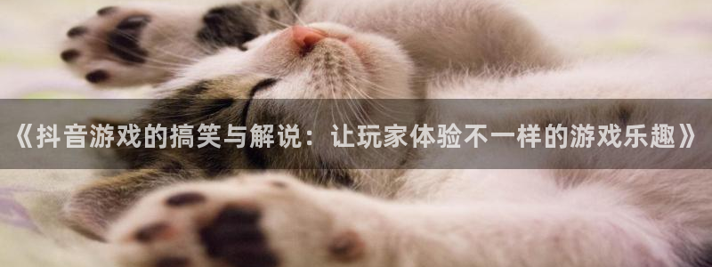 im电竞多少钱