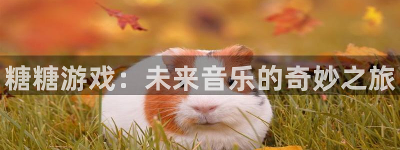 im电竞电子商务有限公司怎么样：糖糖游戏：未来音乐的奇妙之旅