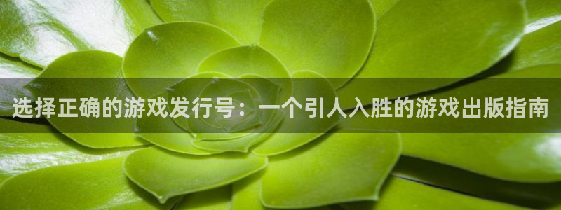 广东im电竞电子商务有限公司电话