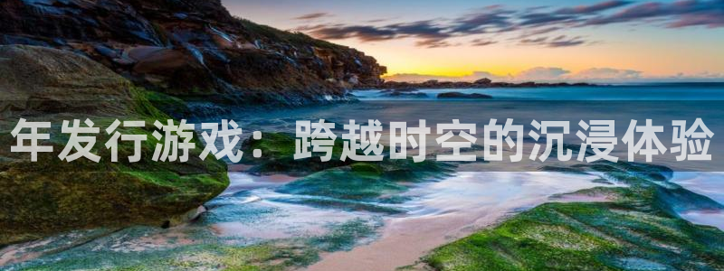 im电竞官网注册登录不了：年发行游戏：跨越时空的沉浸体验