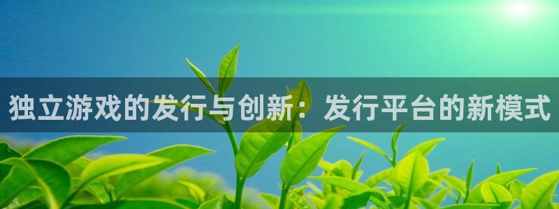 im电竞官网解绑银行卡怎么解绑：独立游戏的发行与创新：发行平台的新模式