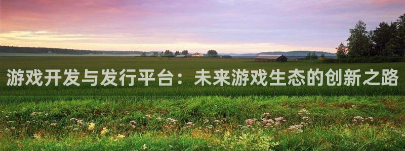 im电竞红酒怎么样：游戏开发与发行平台：未来游戏生态的创新之路