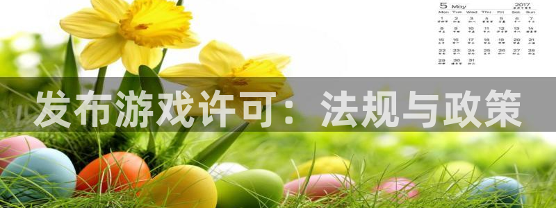 im电竞集团公司怎么样