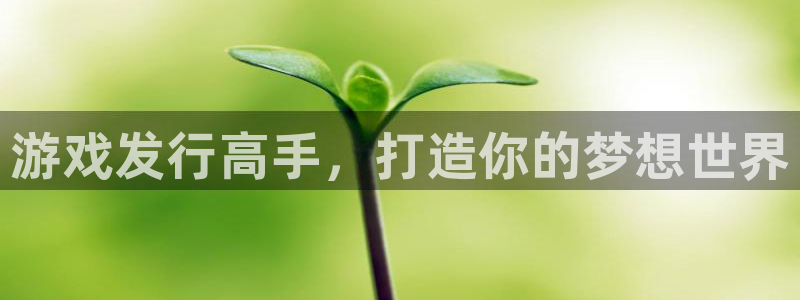 im电竞官网是什么娱乐?：游戏发行高手，打造你的梦想世界