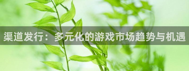 广东im电竞电子科技有限公司：渠道发行：多元化的游戏市场趋势与机遇