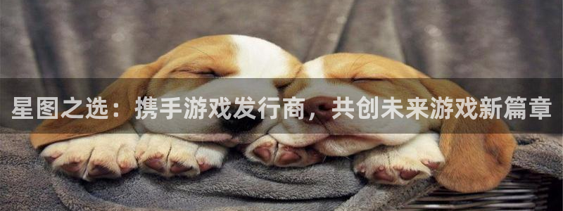 im电竞官网登录注册账号是什么：星图之选：携手游戏发行商，共创未来游戏新篇章