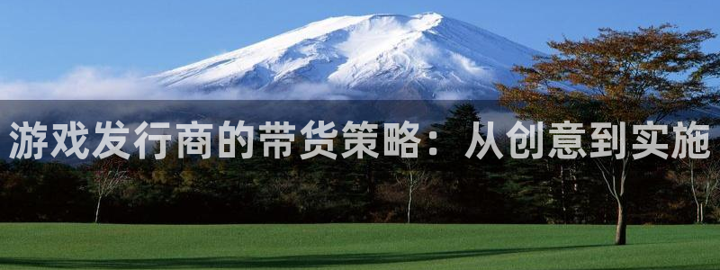 im电竞官网注册地址查询：游戏发行商的带货策略：从创意到实施