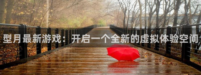 im电竞啤酒多少钱一箱