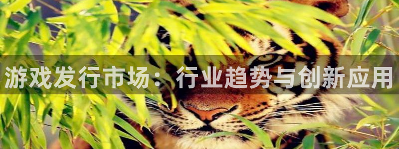 im电竞子传媒集团ceo