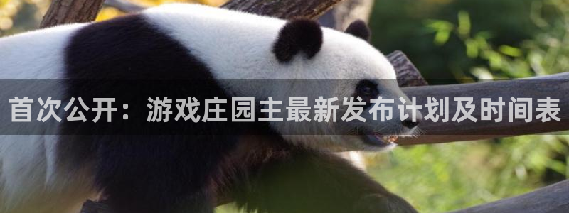 im电竞官网登录注册失败怎么办