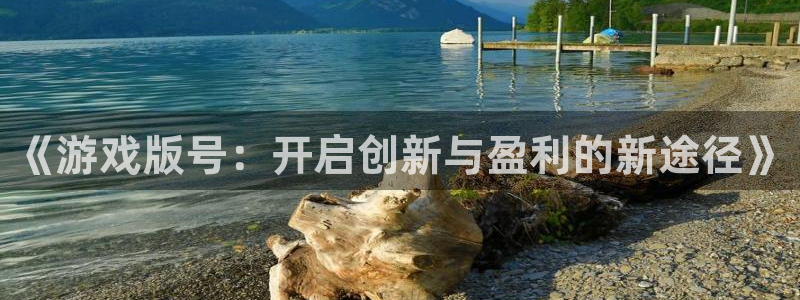 im电竞官网游戏平台高奖金玩法：《游戏版号：开启创新与盈利的新途径》