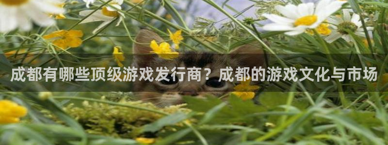 im电竞官网解绑银行卡怎么操作