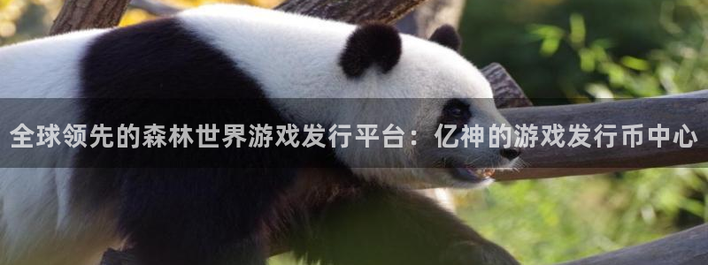 im电竞子教育科技有限公司