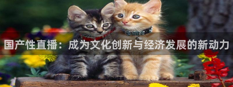 飞速直播直播：国产性直播：成为文化创新与经济发展的新动力