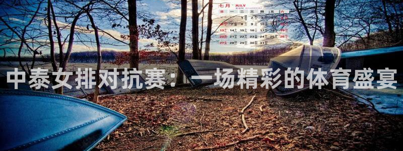 飞速体育在线直播：中泰女排对抗赛：一场精彩的体育盛宴