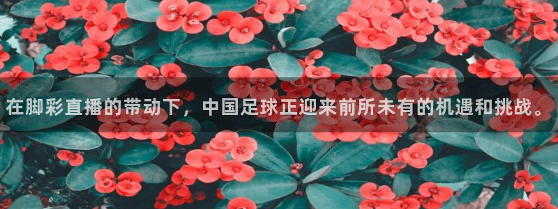 高速直播飞速体育：在脚彩直播的带动下，中国足球正迎来前所未有的机遇和挑战。