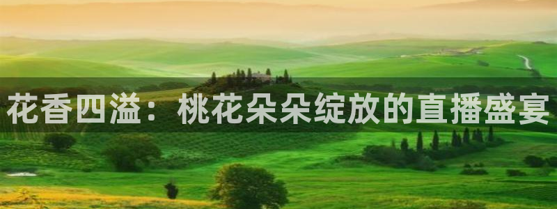 飞速体育nba无插件直播：花香四溢：桃花朵朵绽放的直播盛宴