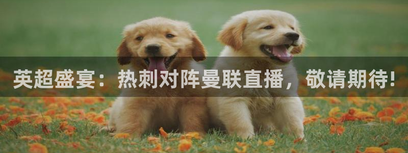 nba在线观看免费观看飞速直播：英超盛宴：热刺对阵曼联直播，敬请期待!