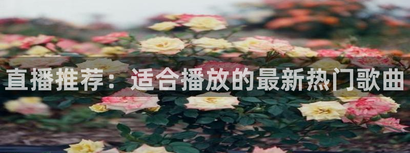 飞速直播体育：直播推荐：适合播放的最新热门歌曲