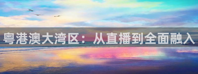 飞速体育直播nba高清：粤港澳大湾区：从直播到全面融入