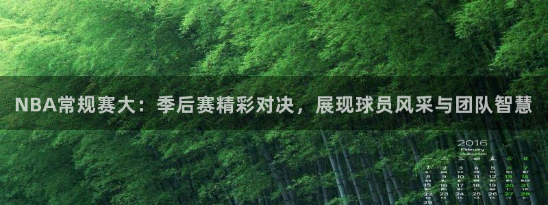 飞速体育直播app下载：NBA常规赛大：季后赛精彩对决，展现球员风采与团队智慧