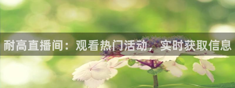 飞速直播体育cba：耐高直播间：观看热门活动，实时获取信息