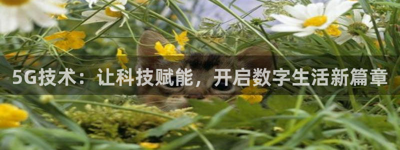 飞速体育直播nba免费观看：5G技术：让科技赋能，开启数字生活新篇章